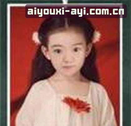 赵总